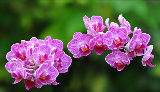 744928 (a): :2800x1600